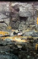 Video 2