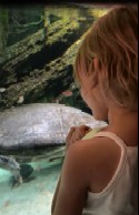 Video 3