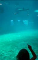 Video 7