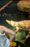Video 7