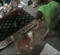 Video 4